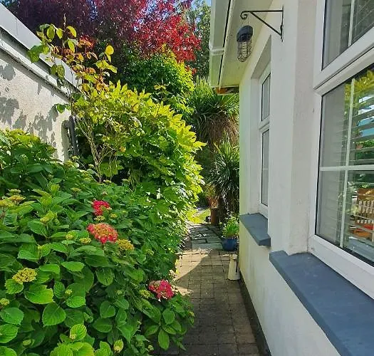 Ubytování v soukromí 124 ,castlelawn Heights, Headford Road Homestay